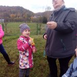 phoca_thumb_m_drak 3 Fotogalerie